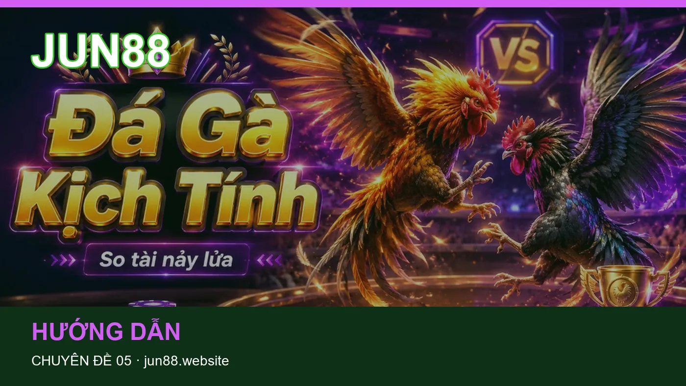 Bảo vệ dữ liệu cá nhân khi tìm hiểu Thể thao tại JUN88